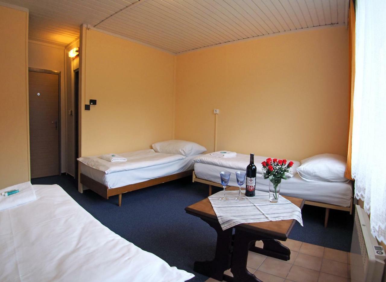 Pod Javorem Hotel Velké Karlovice Kültér fotó