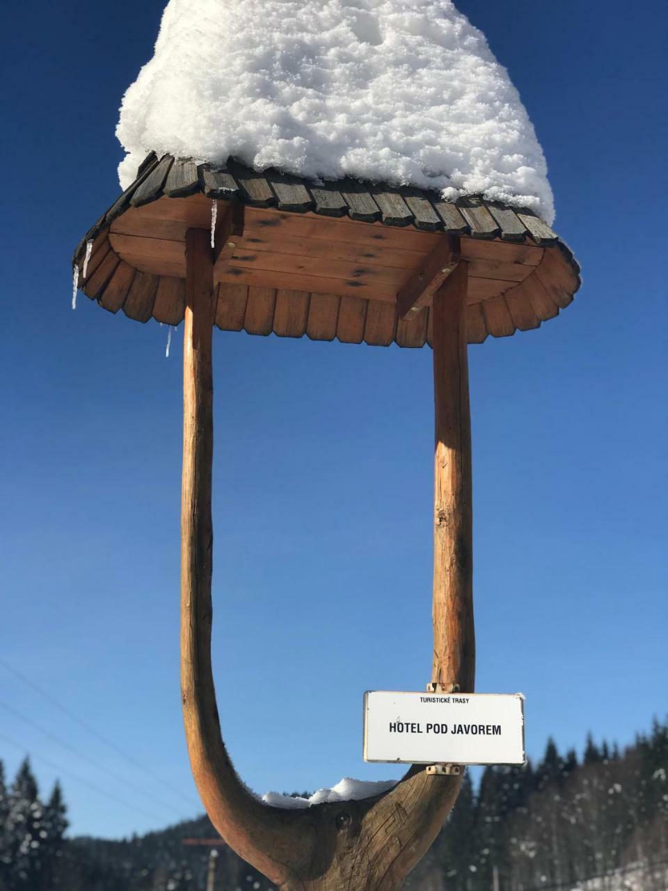 Pod Javorem Hotel Velké Karlovice Kültér fotó